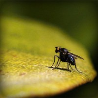 /album/letzgrounatnarma/photolia-a07-jpg/